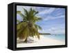 Saona Island, Dominican Republic, West Indies, Caribbean, Central America-Frank Fell-Framed Stretched Canvas