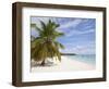 Saona Island, Dominican Republic, West Indies, Caribbean, Central America-Frank Fell-Framed Photographic Print