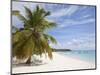 Saona Island, Dominican Republic, West Indies, Caribbean, Central America-Frank Fell-Mounted Photographic Print