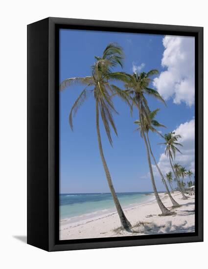 Saona Island, South Coast, Dominican Republic, Central America-Guy Thouvenin-Framed Stretched Canvas