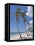 Saona Island, South Coast, Dominican Republic, Central America-Guy Thouvenin-Framed Stretched Canvas