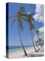 Saona Island, South Coast, Dominican Republic, Central America-Guy Thouvenin-Stretched Canvas