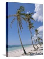 Saona Island, South Coast, Dominican Republic, Central America-Guy Thouvenin-Stretched Canvas