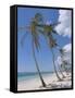 Saona Island, South Coast, Dominican Republic, Central America-Guy Thouvenin-Framed Stretched Canvas