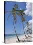 Saona Island, South Coast, Dominican Republic, Central America-Guy Thouvenin-Stretched Canvas