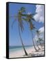 Saona Island, South Coast, Dominican Republic, Central America-Guy Thouvenin-Framed Stretched Canvas