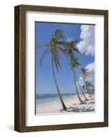 Saona Island, South Coast, Dominican Republic, Central America-Guy Thouvenin-Framed Photographic Print