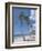 Saona Island, South Coast, Dominican Republic, Central America-Guy Thouvenin-Framed Photographic Print