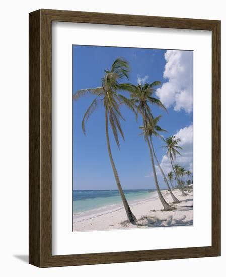 Saona Island, South Coast, Dominican Republic, Central America-Guy Thouvenin-Framed Photographic Print