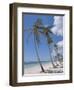 Saona Island, South Coast, Dominican Republic, Central America-Guy Thouvenin-Framed Photographic Print