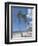 Saona Island, South Coast, Dominican Republic, Central America-Guy Thouvenin-Framed Photographic Print