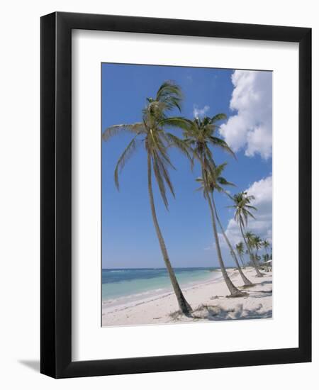 Saona Island, South Coast, Dominican Republic, Central America-Guy Thouvenin-Framed Photographic Print