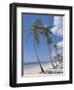 Saona Island, South Coast, Dominican Republic, Central America-Guy Thouvenin-Framed Photographic Print