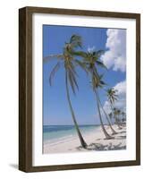 Saona Island, South Coast, Dominican Republic, Central America-Guy Thouvenin-Framed Photographic Print