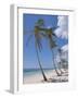 Saona Island, South Coast, Dominican Republic, Central America-Guy Thouvenin-Framed Photographic Print