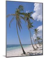 Saona Island, South Coast, Dominican Republic, Central America-Guy Thouvenin-Mounted Photographic Print