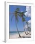 Saona Island, South Coast, Dominican Republic, Central America-Guy Thouvenin-Framed Photographic Print