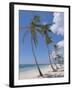 Saona Island, South Coast, Dominican Republic, Central America-Guy Thouvenin-Framed Photographic Print