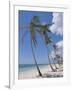 Saona Island, South Coast, Dominican Republic, Central America-Guy Thouvenin-Framed Photographic Print