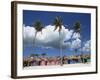 Saona Island, South Coast, Dominican Republic, Central America-Thouvenin Guy-Framed Photographic Print