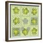 Sap Green-Maria Trad-Framed Giclee Print