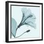 Saphire Love Hibiscus-Albert Koetsier-Framed Photographic Print