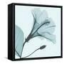 Saphire Love Hibiscus-Albert Koetsier-Framed Stretched Canvas