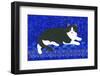 Saphire the Cat-Isabelle Brent-Framed Photographic Print