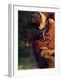 Sapho-Theodore Chasseriau-Framed Giclee Print