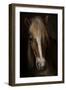 Sapience-Martine Benezech-Framed Giclee Print