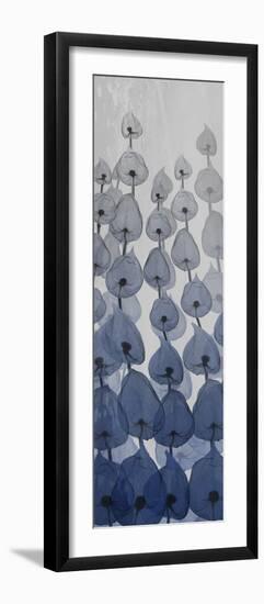 Sapphire Blooms 1-Albert Koetsier-Framed Photographic Print
