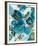 Sapphire Blooms II-Cat Tesla-Framed Giclee Print