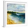 Sapphire Sea-Carney-Framed Giclee Print