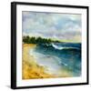 Sapphire Sea-Carney-Framed Giclee Print