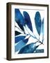 Sapphire Stems I-Asia Jensen-Framed Art Print