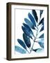 Sapphire Stems IV-Asia Jensen-Framed Art Print