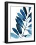 Sapphire Stems IV-Asia Jensen-Framed Art Print