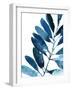 Sapphire Stems IV-Asia Jensen-Framed Art Print