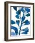 Sapphire Stems VI-Asia Jensen-Framed Art Print