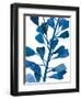 Sapphire Stems VI-Asia Jensen-Framed Art Print