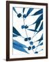 Sapphire Stems VII-Asia Jensen-Framed Art Print