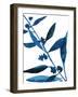 Sapphire Stems VIII-Asia Jensen-Framed Art Print