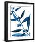 Sapphire Stems VIII-Asia Jensen-Framed Art Print