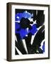 Sapphire-Kristine Hegre-Framed Giclee Print