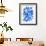 Sapphire-Cat Coquillette-Framed Giclee Print displayed on a wall