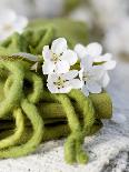 Cherry Blossom on a Felted Cord-Sara Deluca-Stretched Canvas