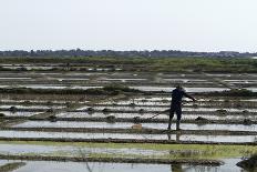 A Paludier Rakes Natural Sea Salt-Sara Erith-Photographic Print