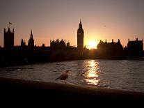 Westminster Bridge, Houses of Parliament, and Big Ben, UNESCO World Heritage Site, London, England-Sara Erith-Laminated Photographic Print