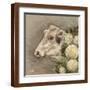 Brown Frame