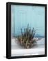 Essential Black